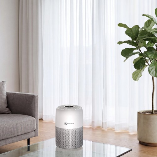 Очиститель воздуха Electrolux EAP-1010D