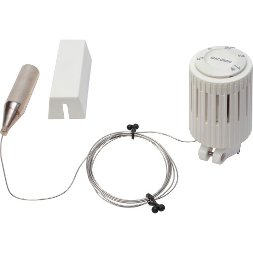 Головка термостатическая Giacomini с выносн. датч.2м с настр. против замораж., R462X002