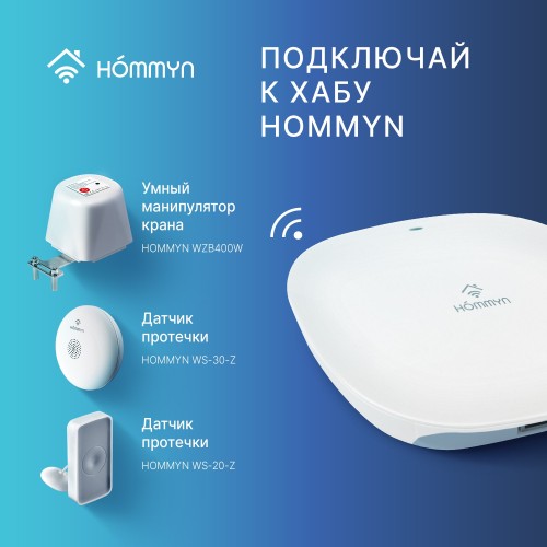 Блок управления (шлюз) HOMMYN Hub HH-01