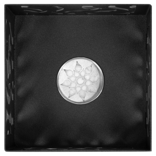 Биокамин Firelight BFP/T-2020 Black