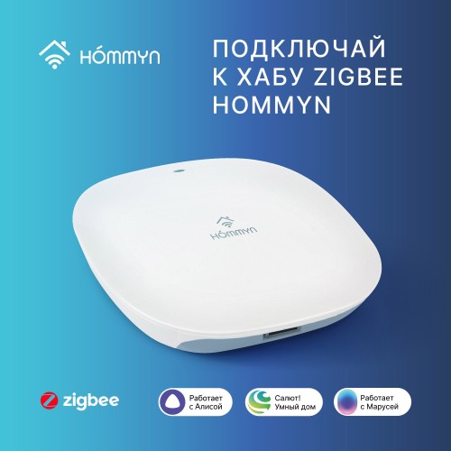 Датчик температуры и влажности HOMMYN THS30ZB