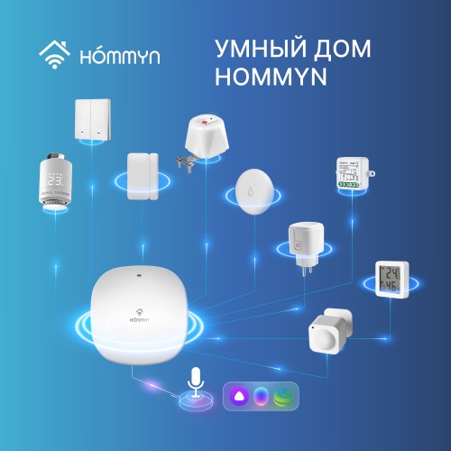 Датчик температуры и влажности HOMMYN THS30ZB